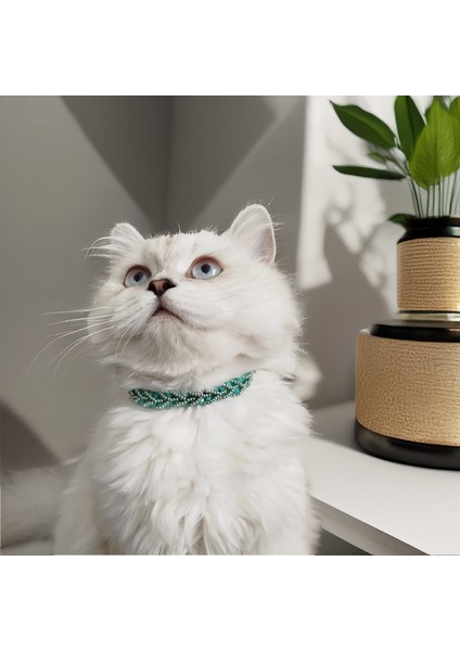 Kedi Köpek Için Sarmaşık Kristal Yeşil Kolye / Takı