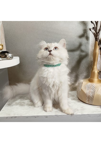 Kedi Köpek Için Sarmaşık Kristal Yeşil Kolye / Takı