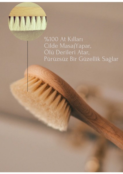 At Kılı Saplı Fırça indirimleri