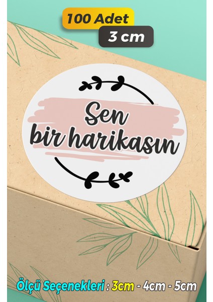 Ambalaj Paketleme Etiketi Model 47 (100 Adet / 3 cm)