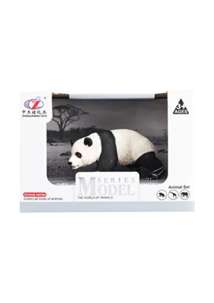 Kutulu Model Yürüyen Panda