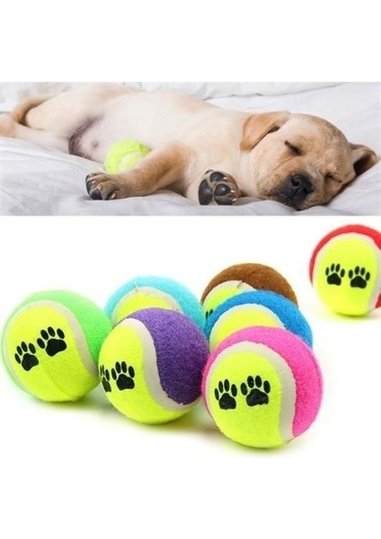 3lü Renkli Desenli Tenis Topu Kedi Köpek Oyuncağı fırsatları