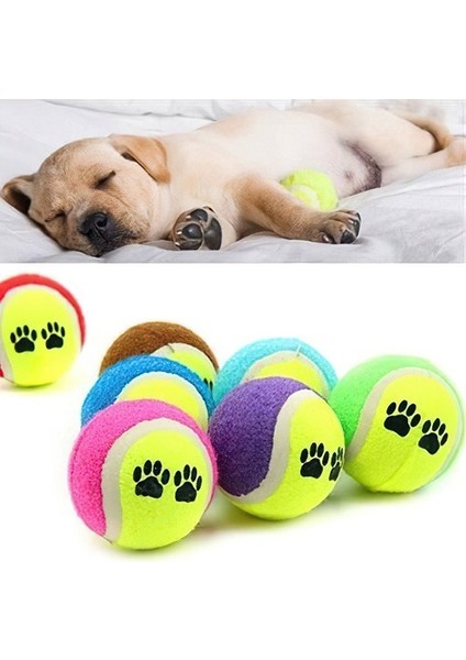 Köpek Oyun Topu 3 Adet fırsatları