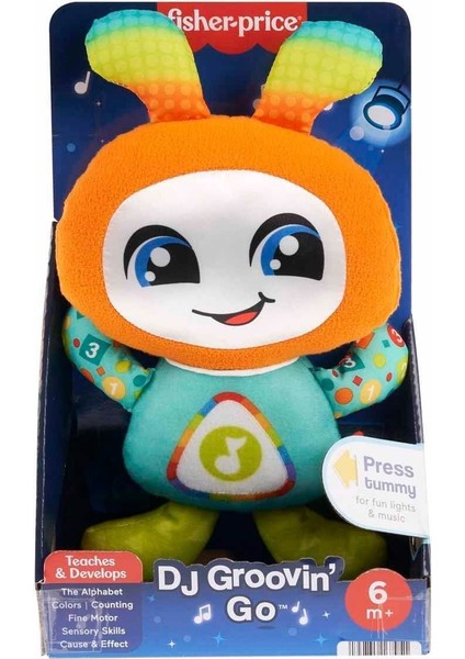 HWH10 Fisher-Price Dj Arkadaşım