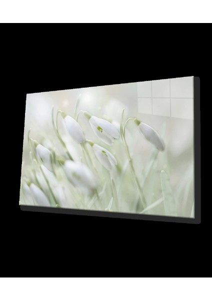 - Kardelen Çiçeği Cam Tablo Snowdrop Flower
