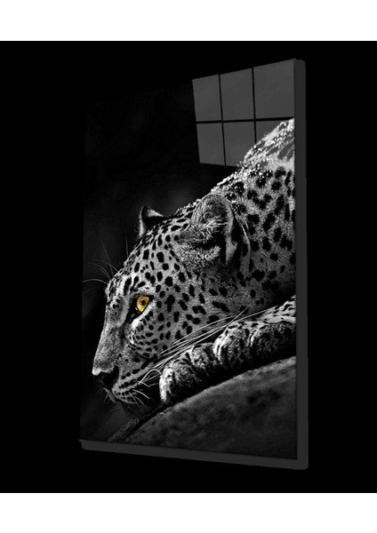 - Kaplan Hayvan Siyah Beyaz Cam Tablo