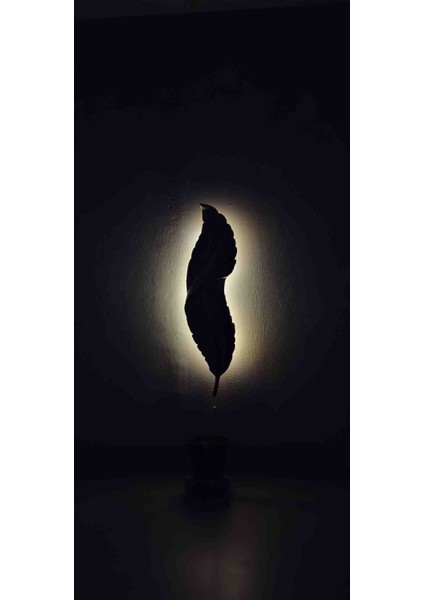 Tüy Aplik Ledli Pilli Dekoratif Duvar Aydınlatma - Şık Ve Modern Tasarım - (60*16 cm )