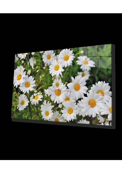 - Papatya Çiçek Cam Tablo Daisy Flower