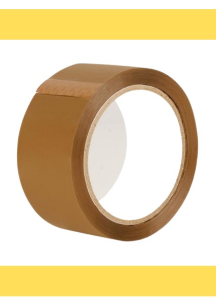 Koli Hasbant Taba 100 Metre