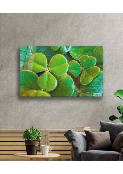 - Üç Yapraklı Yonca Yeşil Cam Tablo fiyatları