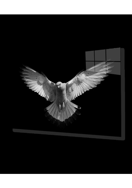 - Güvercin Hayvan Cam Tablo