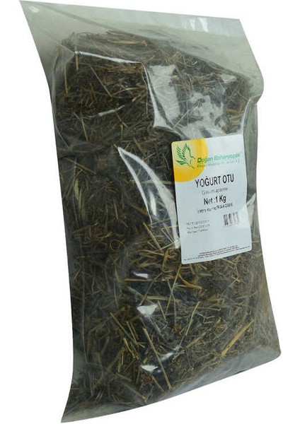 Yoğurt Otu 1000 gr Paket