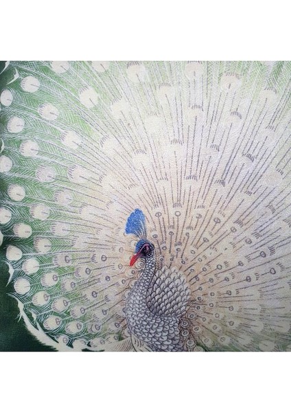 Beyaz Tavus Kuşu Desenli Yeşil Kadife Saçaklı Dekoratif Kırlent Kılıfı 43 x 43 cm fiyatları