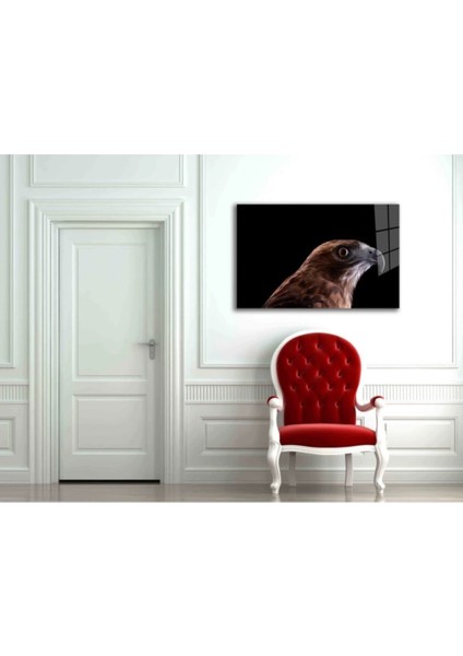Şahin Kuş Hayvan Cam Tablo fiyatları