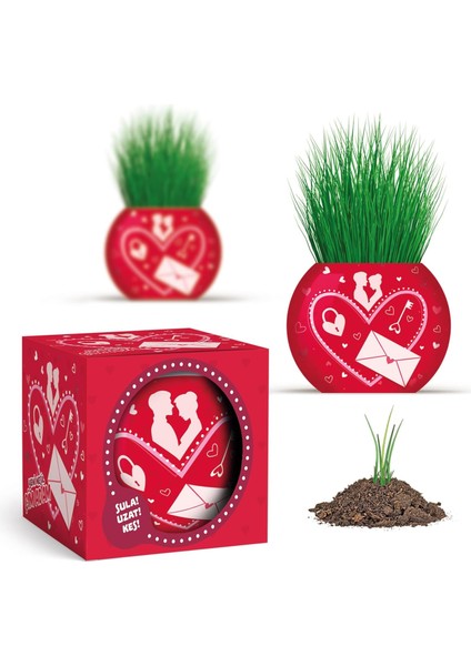 Menashop Aşk Temalı 6'lı Çim Adam Bitki Yetiştirme Seti - Romantik ve Eğlenceli Hediye