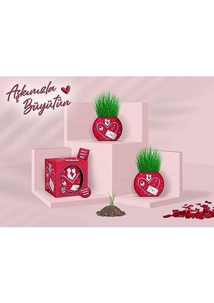 Menashop Aşk Temalı 6'lı Çim Adam Bitki Yetiştirme Seti - Romantik ve Eğlenceli Hediye