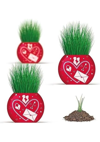 Menashop Aşk Temalı 6'lı Çim Adam Bitki Yetiştirme Seti - Romantik ve Eğlenceli Hediye