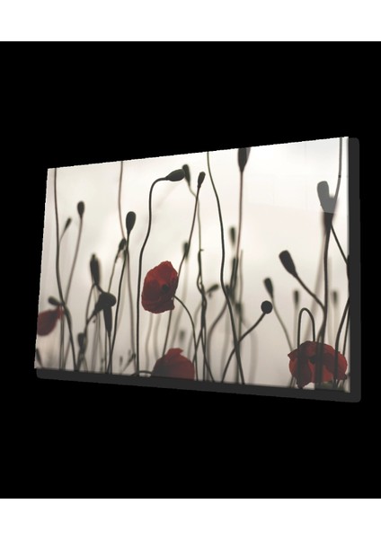 - Gelincik Çiçeği Cam Tablo Poppy Flower