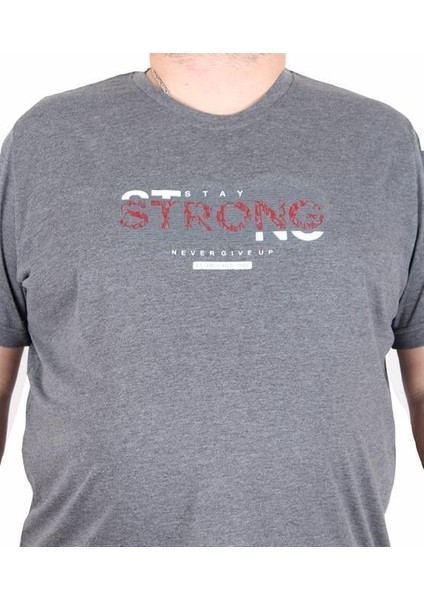Erkek Büyük Beden Sıfır Yaka Tişört Strong 25167 Antrasit Melanj fiyatları
