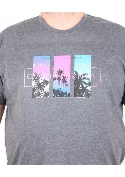 Erkek Büyük Beden Sıfır Yaka Tişört California 25145 Antrasit Melanj fiyatları