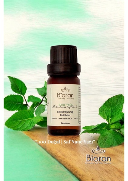 Nane Yağı Saf Bitkisel Uçucu Yağ 10 ml. (Mentha Arvensis Leaf/stem Oil)