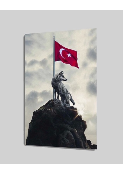 - Kurt ve Türk Bayrağı Cam Tablo