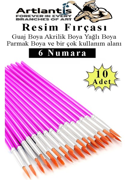 Resim Fırçası 6 Numara 10 Adet Yuvarlak Uçlu Sentetik Resim Fırça Ekonomik Suluboya Akrilik Boya Guaj Boya Yağlı Boya