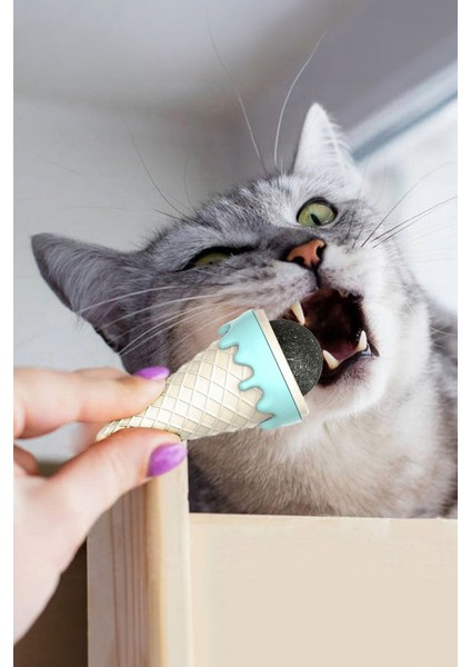 Dondurma Külahı Şeklinde Kedi Nanesi fiyatları