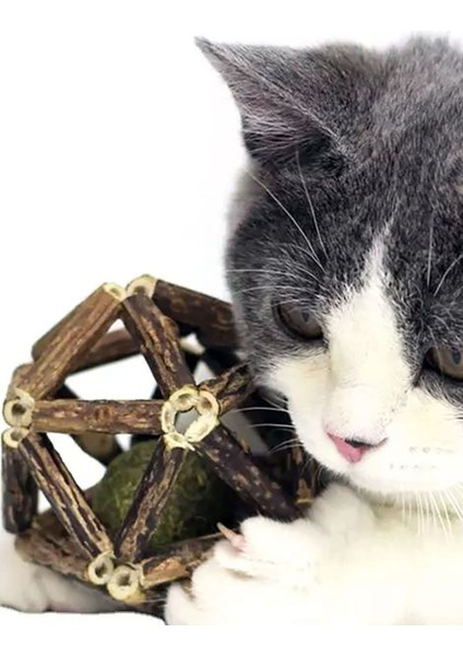 Ağaç Dalı Şeklinde Kedi Oyuncağı Kedi Nanesi Kedi Nane Topu modelleri