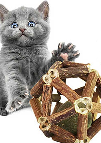 Ağaç Dalı Şeklinde Kedi Oyuncağı Kedi Nanesi Kedi Nane Topu indirimleri