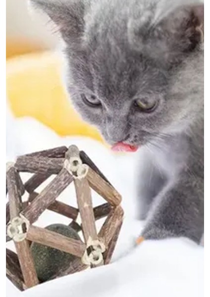 Sağlıklı Kedi Nanesi Topu Kediler İçin Sevimli Tatlı Oyuncak Nane fiyatları