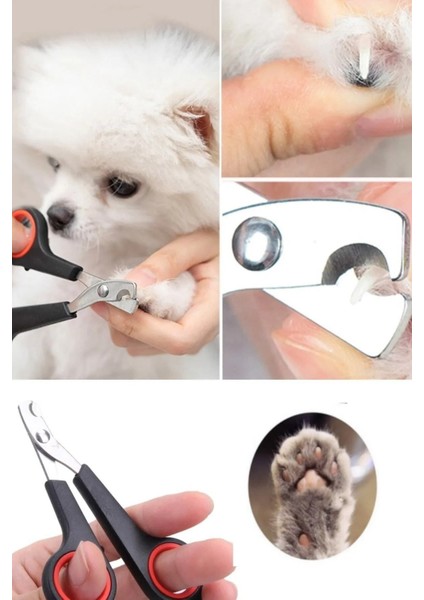 Evcil Hayvan Tırnak Makası Tırnak Kesici Kedi Köpek Tırnak Makası fırsatları