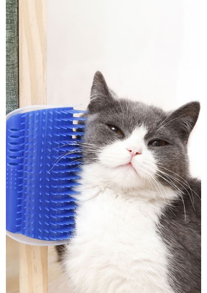 Kedi Kaşınma Duvar Kapı Kenarlarına Kaşınma Aparatı modelleri