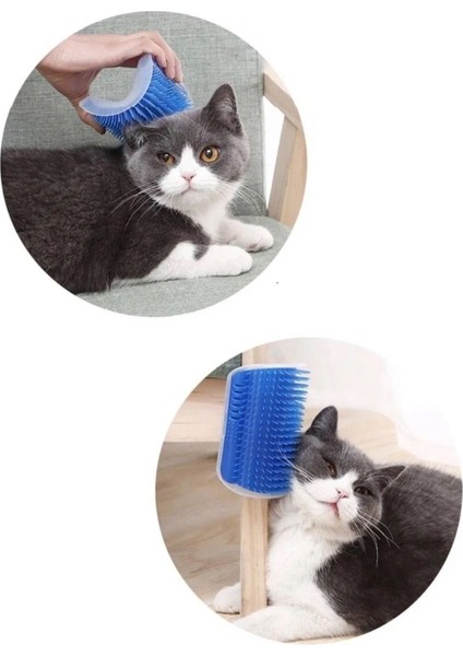 Kapı Kenarına Asılan Kedi Kaşınma Aparatı