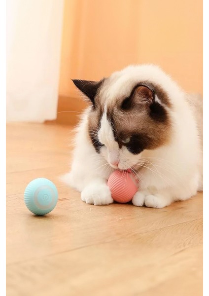 Evcil Hayvan Hareketli Kedi Köpek Oyuncağı Şarjlı Kedi Köpeğinizden Kaçar Oyuncak