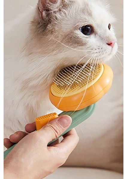 Basmalı Telli Bal Kabağı Tasarımlı Fırça, Kedi ve Köpekler Için Tüy Temizleme Aracı
