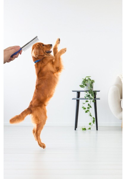 Evcil Hayvan Kedi Köpek Kıtık Açıcı Metal