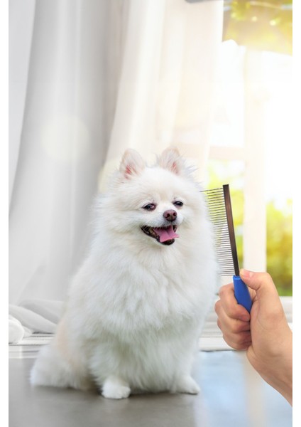 Evcil Hayvan Kedi Köpek Kıtık Açıcı Metal
