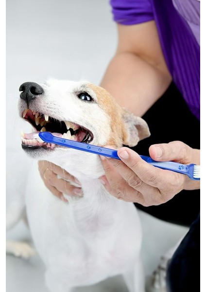 Evcil Hayvan Kedi Köpek Diş Fırçası 4 Lü Set