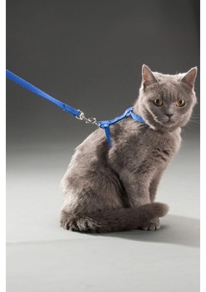 Yeni Nesil Kedi Tasması Dışarıda Gezdirmek İçin Rahat Kullanım Göğüs Tasması