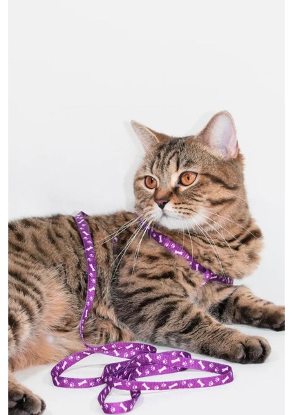 Yeni Nesil Kedi Tasması Dışarıda Gezdirmek İçin Rahat Kullanım Göğüs Tasması fiyatları