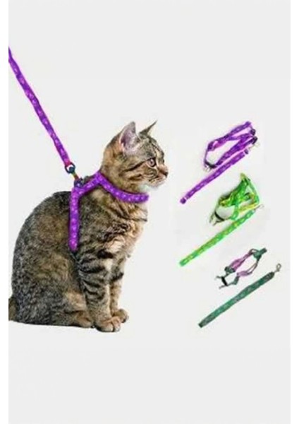 Yeni Nesil Kedi Tasması Dışarıda Gezdirmek İçin Rahat Kullanım Göğüs Tasması modelleri