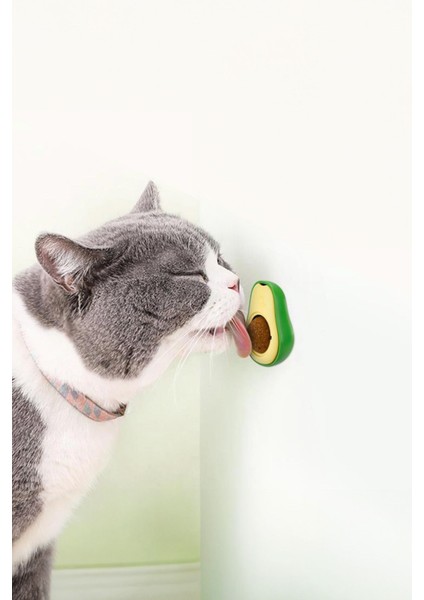 Kedi Yalama Topu Avakado Tasarımlı Nane Aromalı modelleri