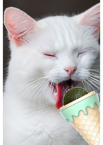 Kedi Nanesi Dondurma Şekilli İce Cream Oyuncak, Doğal Catnip Otu, Kedi İçin