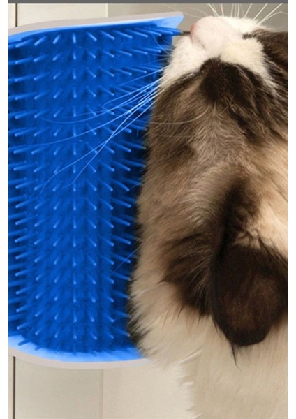 Cat It Pratik Kedi Tüyü Kaşıma Ve Tarama Aparatı, Duvara Monte Pratik Kaşıma Aracı