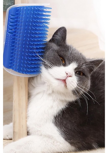 Cat It Pratik Kedi Tüyü Kaşıma Ve Tarama Aparatı, Duvara Monte Pratik Kaşıma Aracı