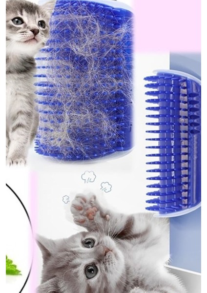 Cat It Pratik Kedi Tüyü Kaşıma Ve Tarama Aparatı, Duvara Monte Pratik Kaşıma Aracı