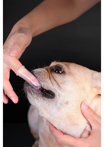 Evcil Hayvan Dil Diş Fırçası Pet Kedi Köpek Diş Fırçası