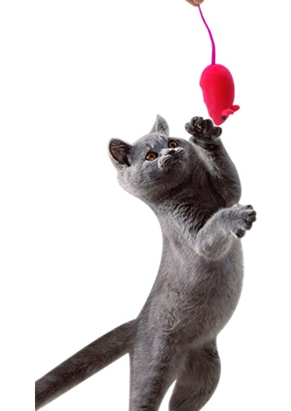 Kedi Eğitim Oyun Faresi, Sesli, 2 Adet Kedi Egzersiz Oyuncağı Ve Oyun Aracı