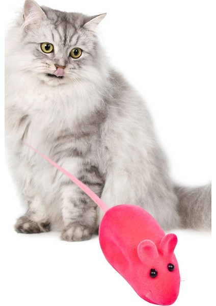 Kedi Eğitim Oyun Faresi, Sesli, 2 Adet Kedi Egzersiz Oyuncağı Ve Oyun Aracı